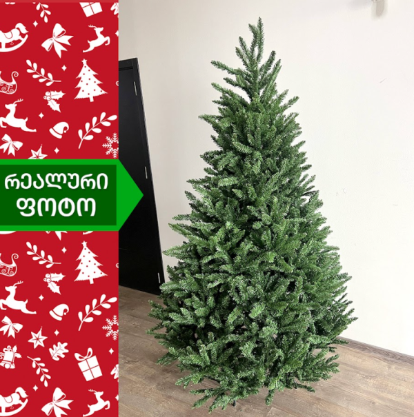 ნაძვის ხე ედინბურგი 210სმ (MM-210)