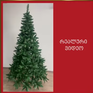 ნაძვის ხე ლონდონი 210 სმ (CC-210)