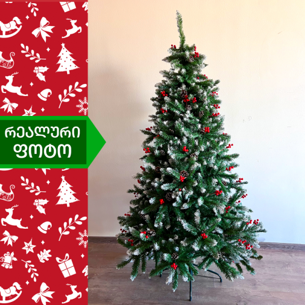 ნაძვის ხე კოსტა-რიკა 180სმ (GH-180)