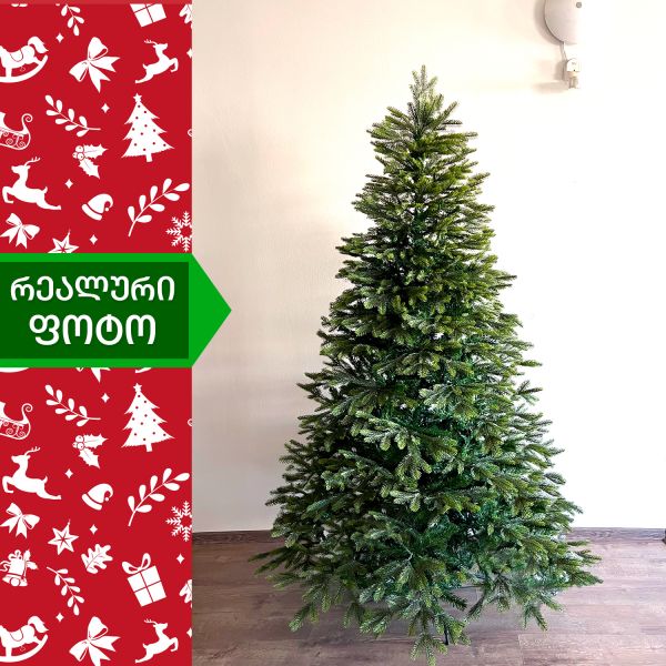 ნაძვის ხე დუბლინი 240 სმ (AA-240)